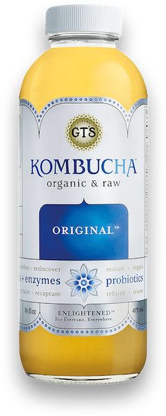 gt kombucha hawaii trip